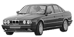 BMW E34 P247A Fault Code